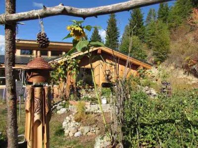 Avoiding the Pitfalls Of Failing as a New Homesteader Image